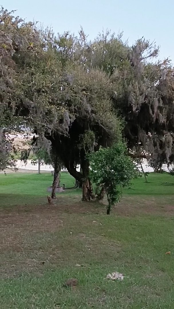 Camping Lagoa do Horácio - Image 2