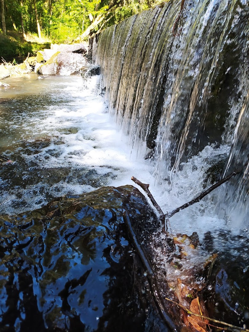 Prainha Klaus - Image 4