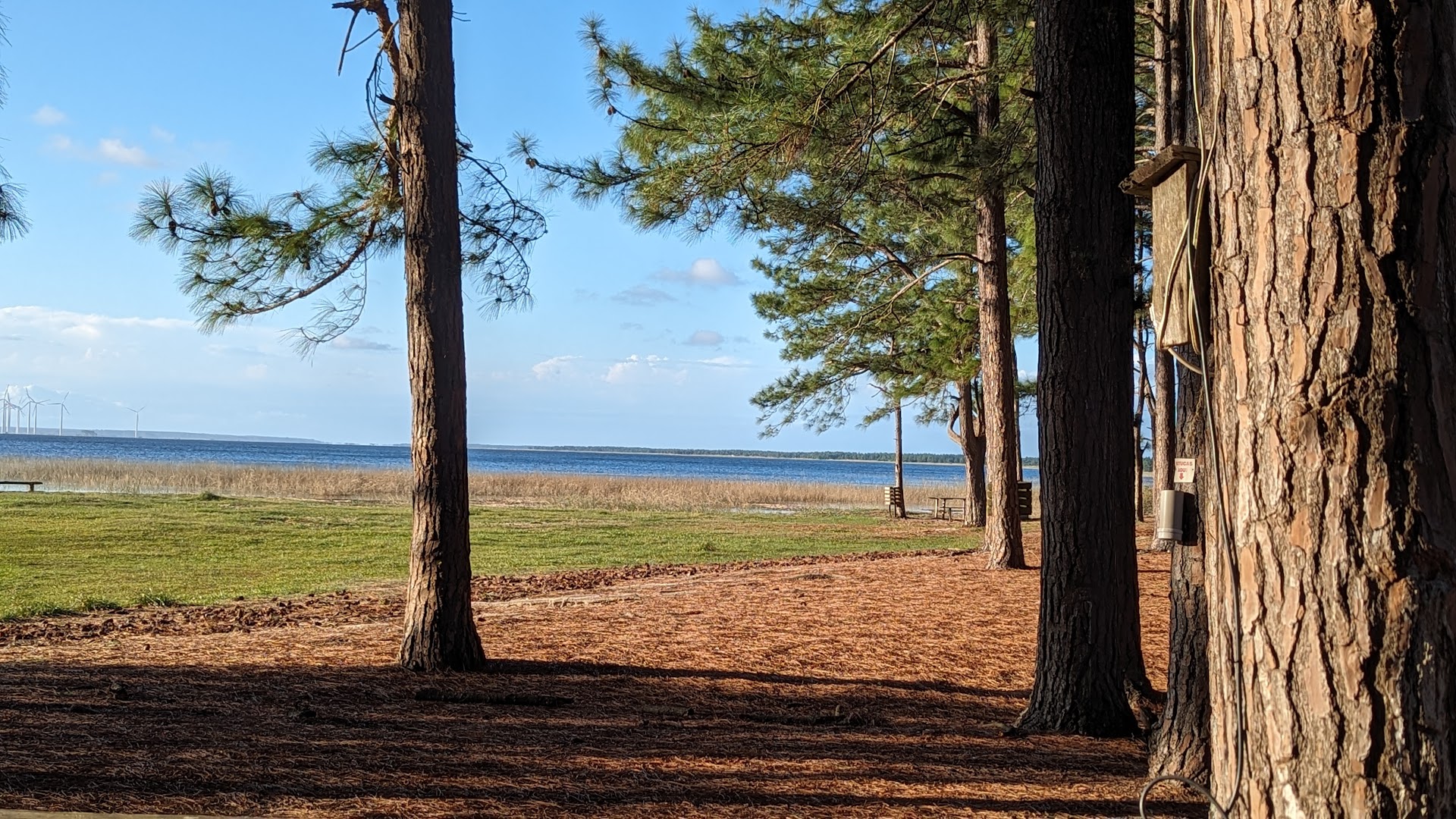 Camping Dunas Altas - Image 3