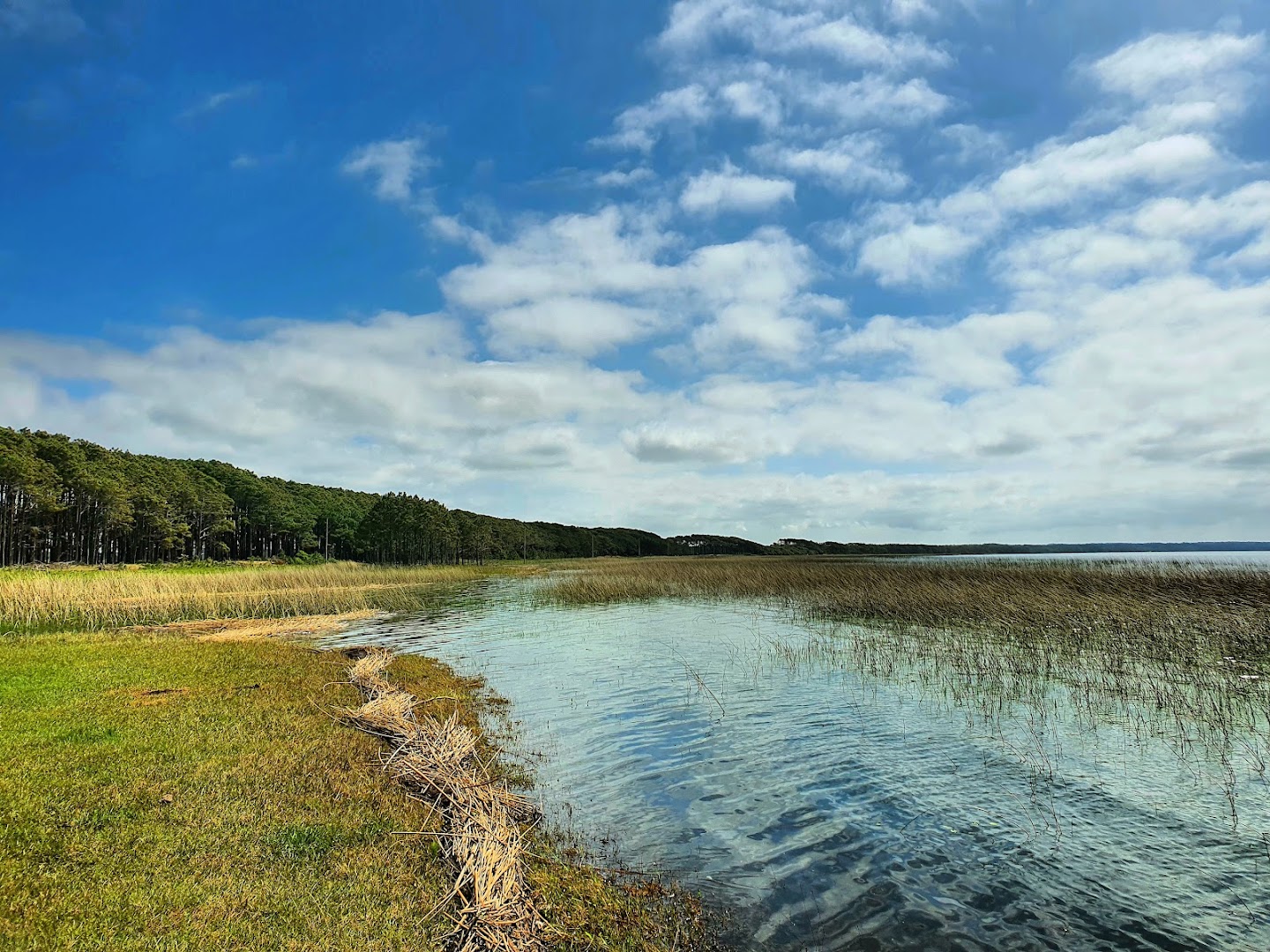 Camping Dunas Altas - Image 5