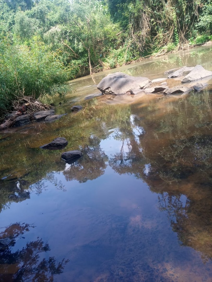 Camping Sorriso - Image 2