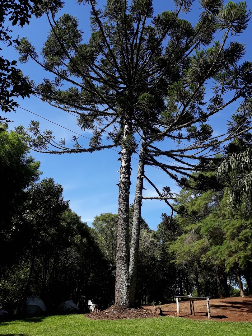 Alternativa Aqua Sport Camping Milani - Image 3