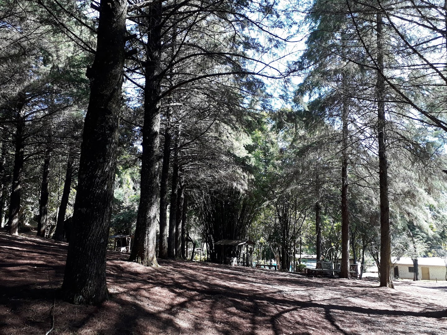 Alternativa Aqua Sport Camping Milani - Image 5