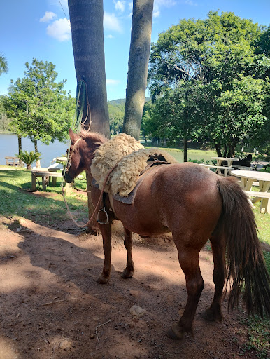 Camping e Lago Wittmann - Image 2