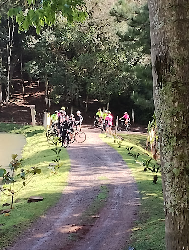 Camping e Lago Wittmann - Image 3