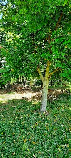 Bolicho Valandro - Image 4