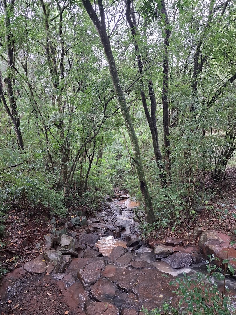 Parque Municipal das Águas - Image 4