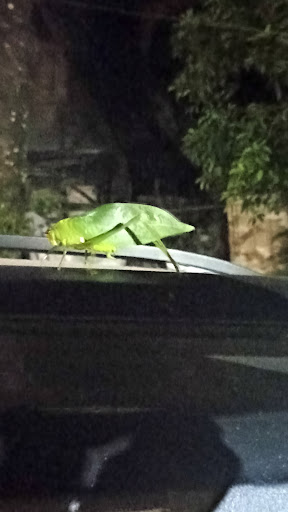 Camping Vida Mansa - Main Image