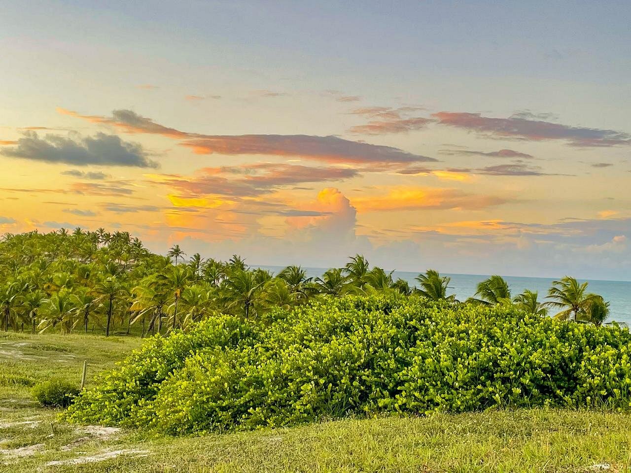 Arteco Camp - Image 4