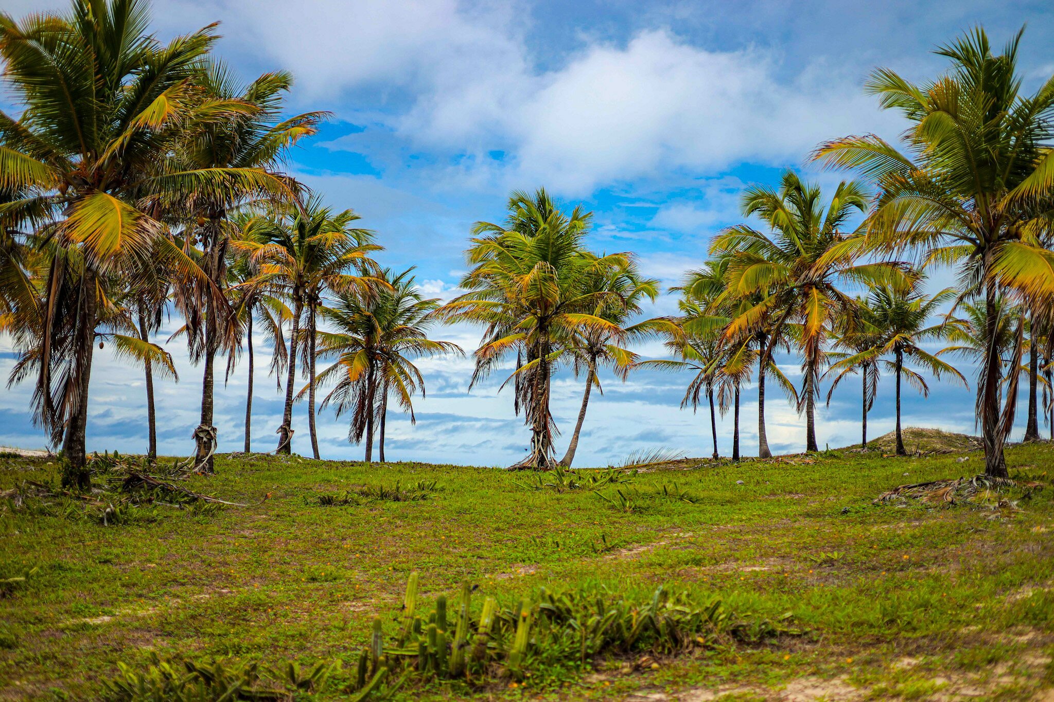 Arteco Camp - Image 5