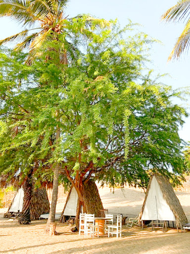 Atlantico Surf | Camping Cristovão - Image 2