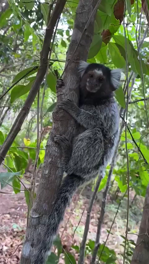 Camping Da Matta - Image 2