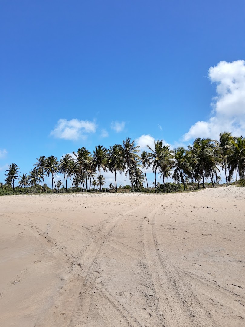 Restaurante Marco Zero - Main Image