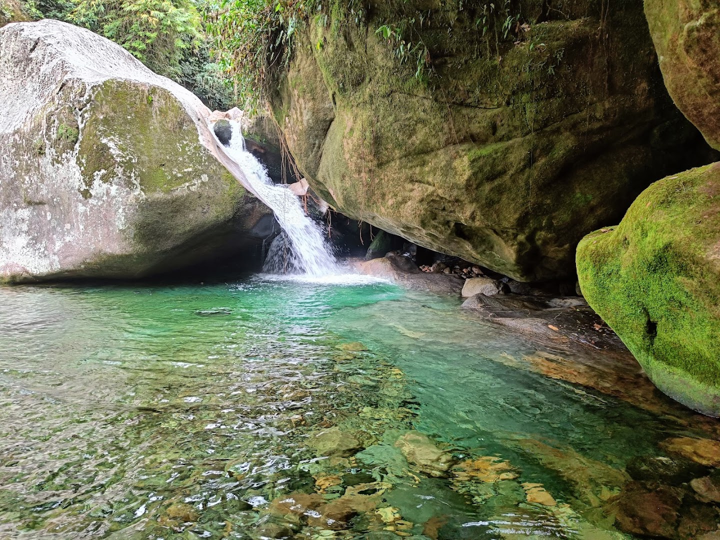 Parque Nacional da Serra dos Órgãos - PARNASO - Sede Guapimirim-RJ - Image 4