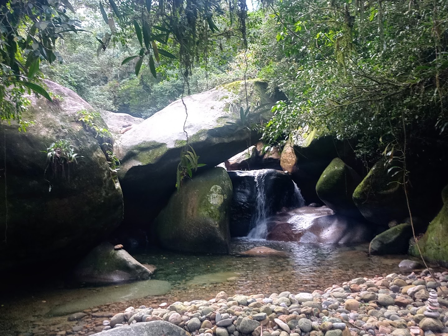 Parque Nacional da Serra dos Órgãos - PARNASO - Sede Guapimirim-RJ - Image 5