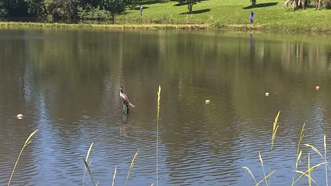 Acampamento Batista Gaúcho - Image 2