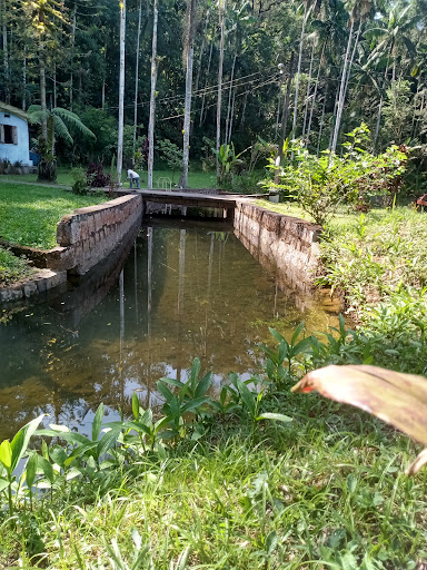 Camping Recanto das Borboletas - Image 3