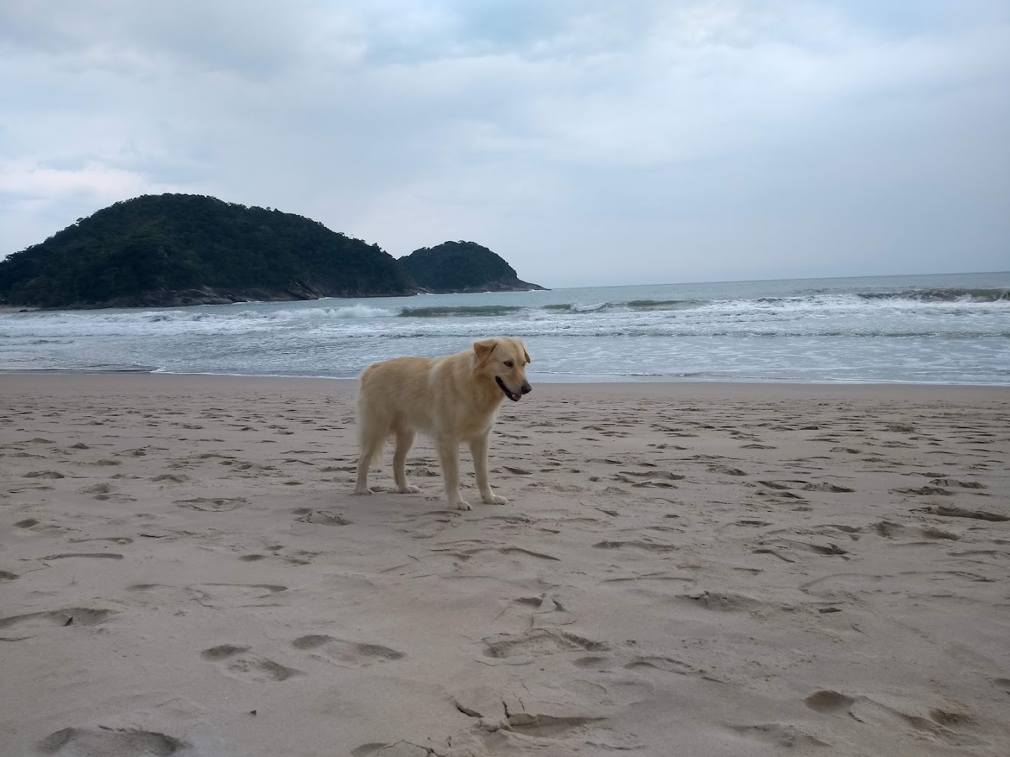 Camping Alto Astral - Image 5