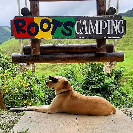 Roots Camping Sana Rj - Main Image