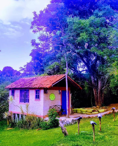 Tayra Eco-Parque - Main Image