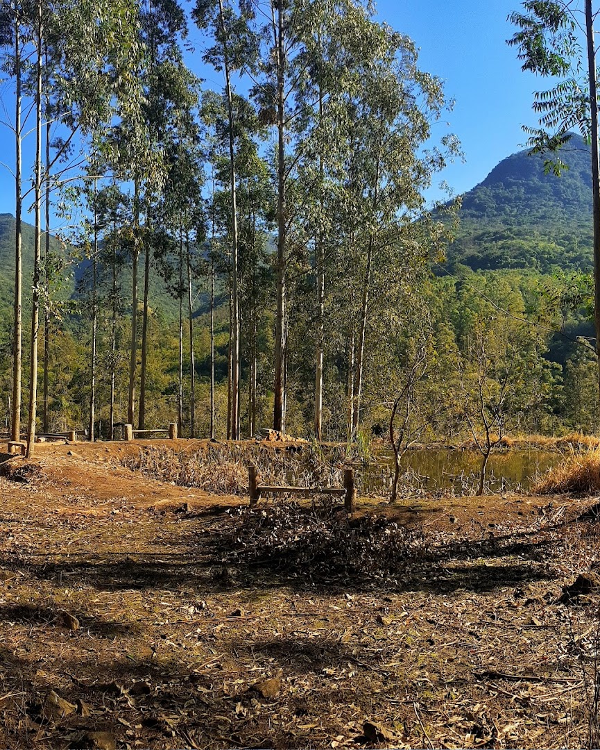 Camping e Mercado do Nei - Image 5