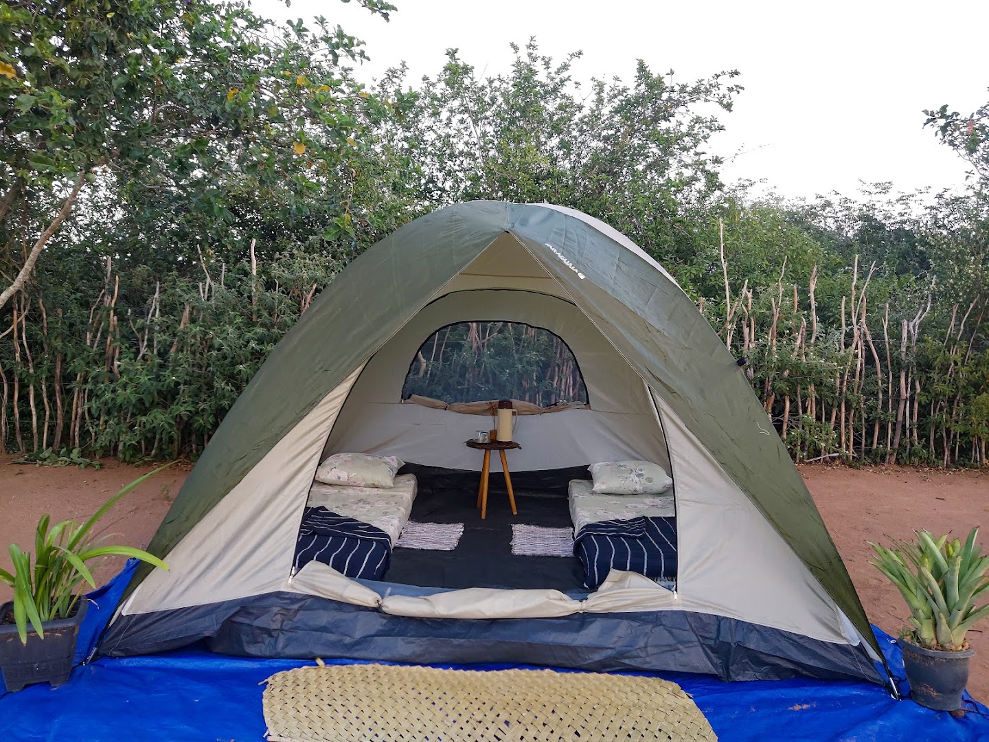 Camping Toca – Toca do Vale - Image 4