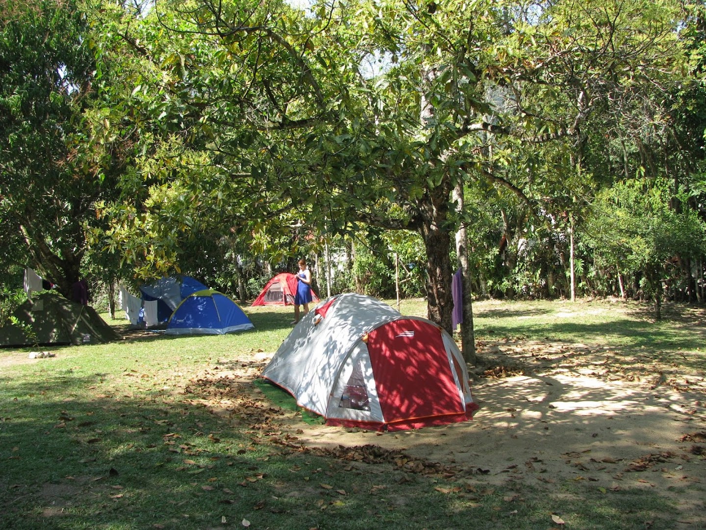 ArtCafé Camping - Image 5