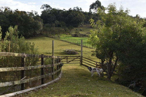 Camping Renato Zanetti - Image 4