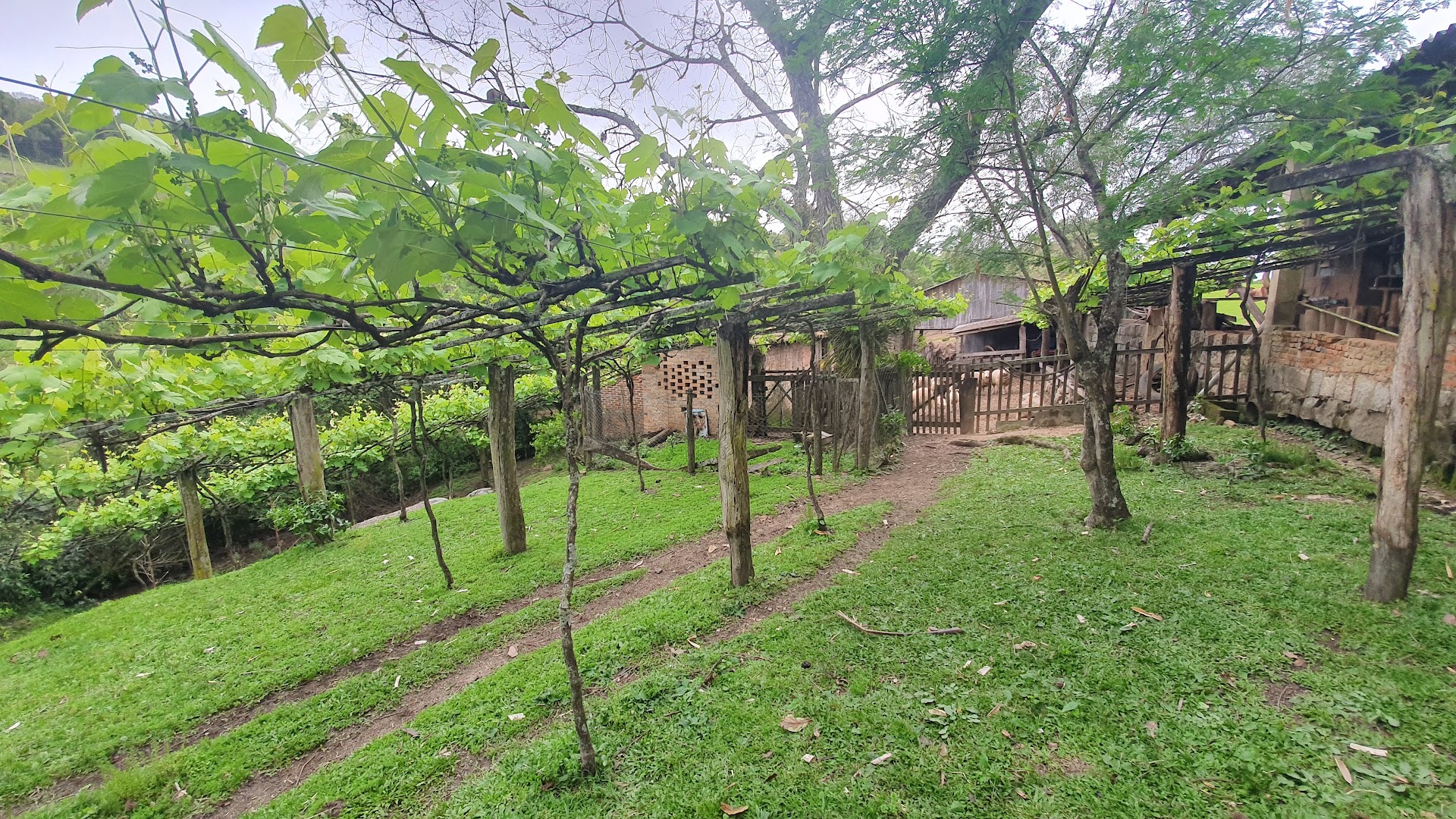 Camping Renato Zanetti - Image 5