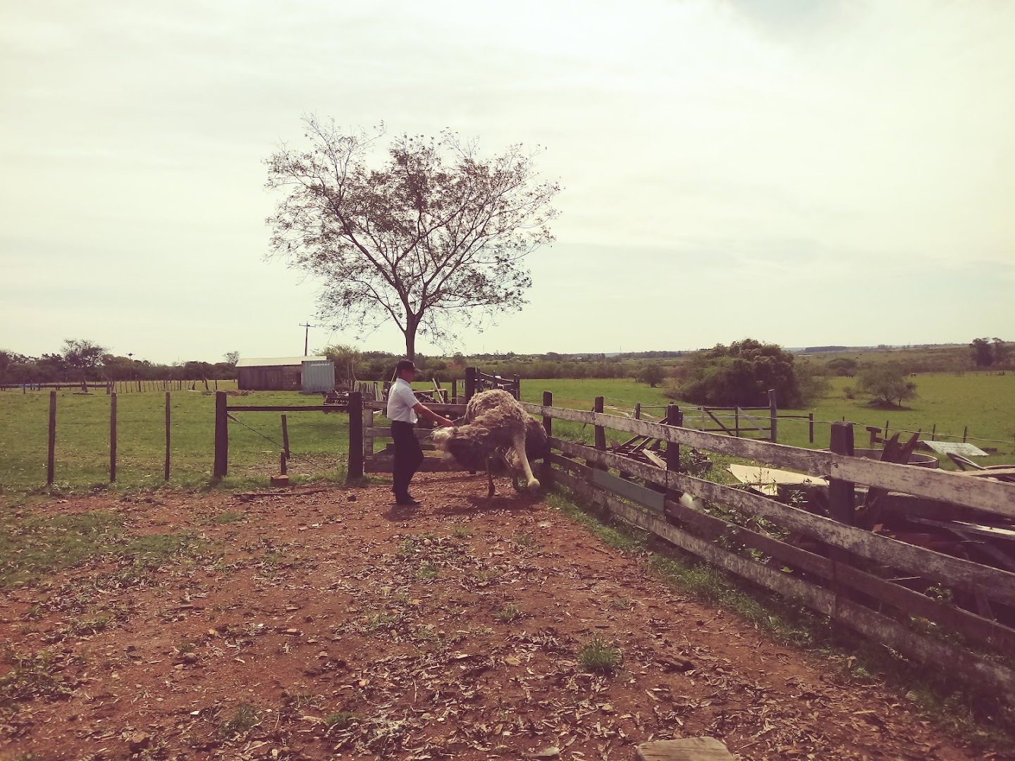 Sítio Saracura - Main Image