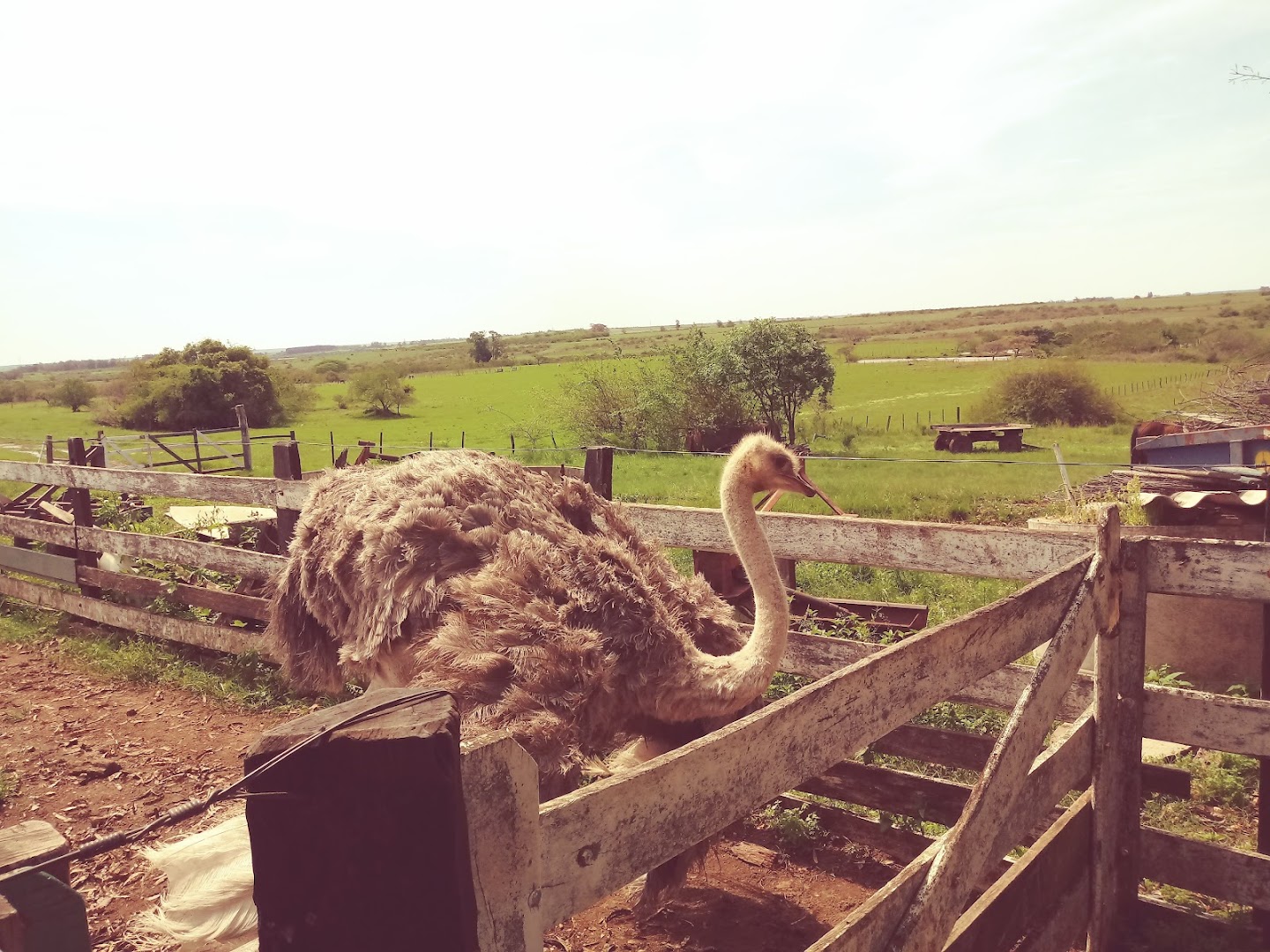 Sítio Saracura - Image 2