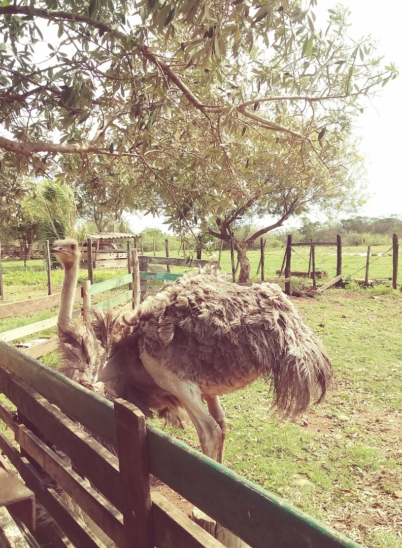 Sítio Saracura - Image 4