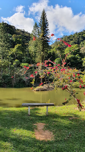 Fazenda Boa Vista dos Leões - Main Image