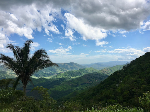 Fazenda Boa Vista dos Leões - Image 2