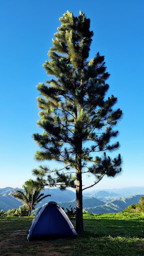 Fazenda Boa Vista dos Leões - Image 3