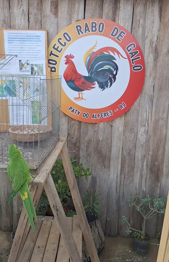 Sitio das Aves - Main Image