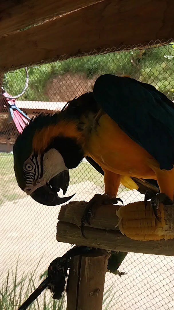 Sitio das Aves - Image 2