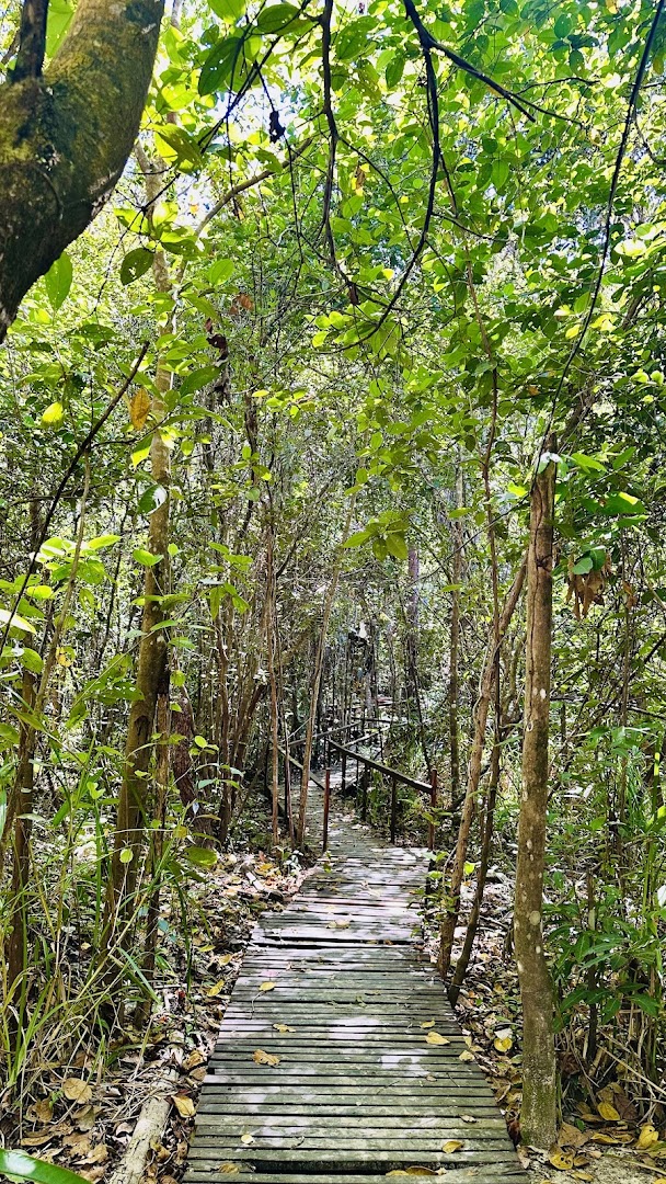 Camping Fervedouro Buriti - Image 5