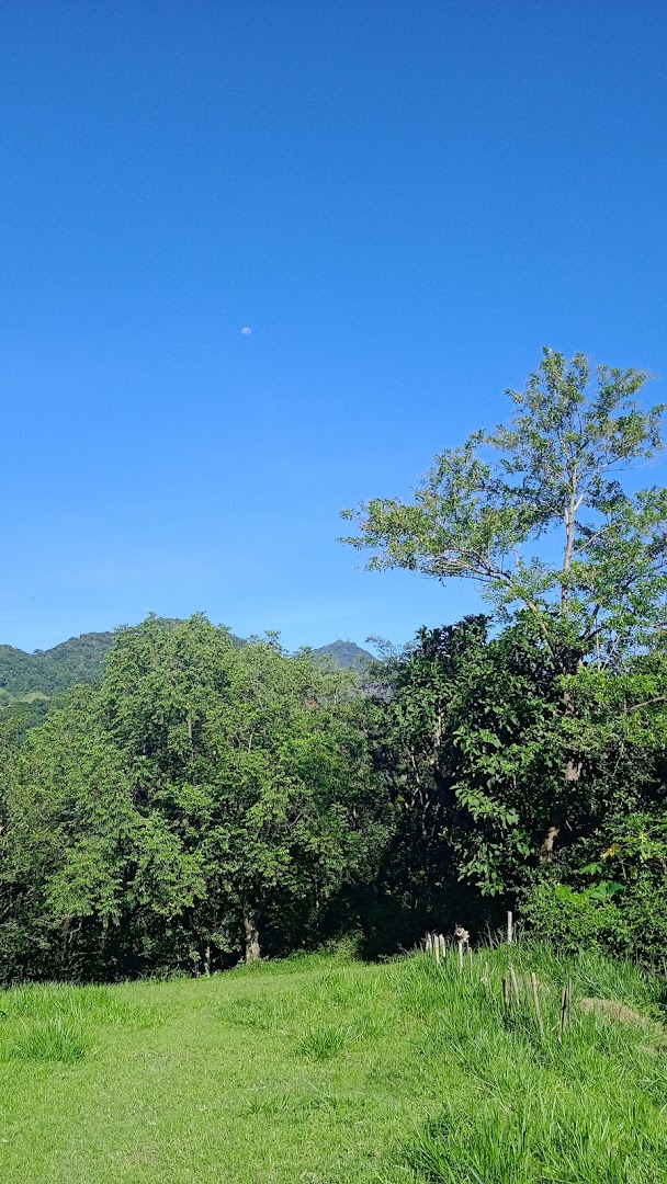 camping morro do alto - Image 3