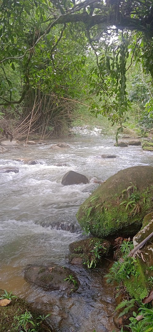 camping morro do alto - Image 4