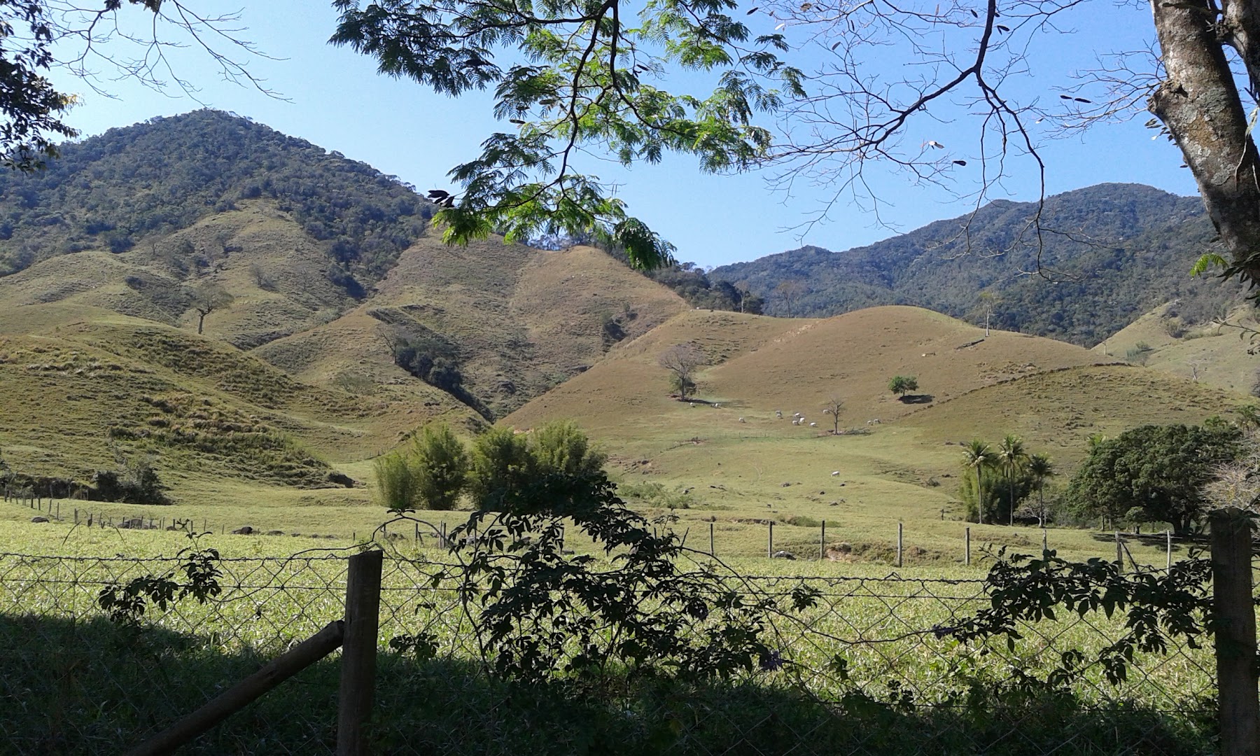 camping morro do alto - Image 5