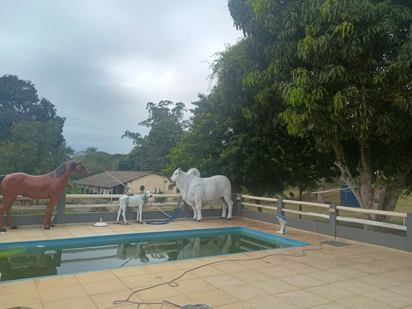 Rancho Duas Luas - Image 5