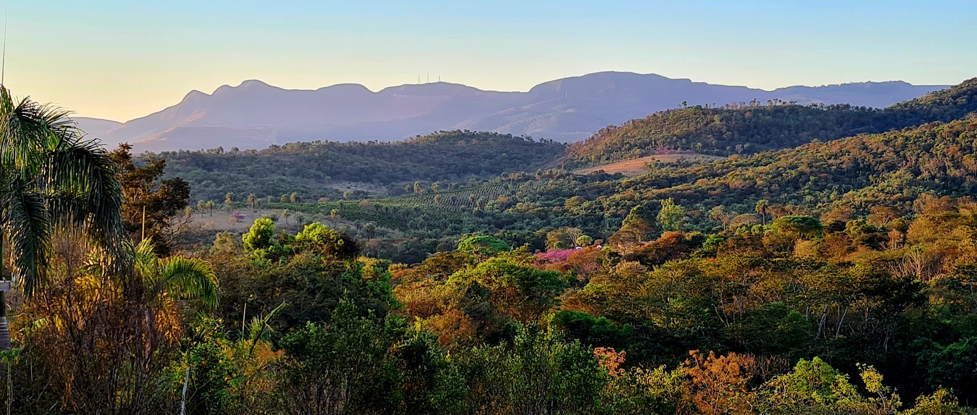 Camping Iris de Van Gogh - Main Image