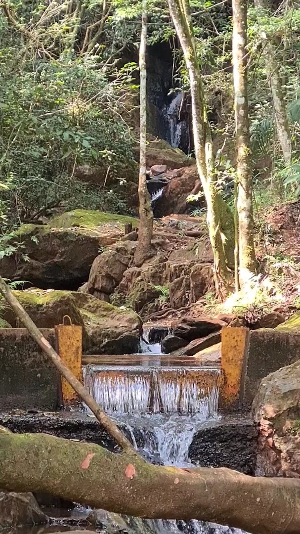 Camping Iris de Van Gogh - Image 5