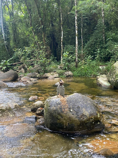 Refúgio da Coruja - Image 2