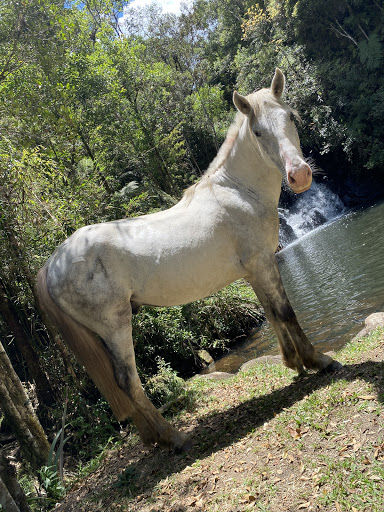 CAMPING CACHOEIRA DOS SOLAIS - Main Image