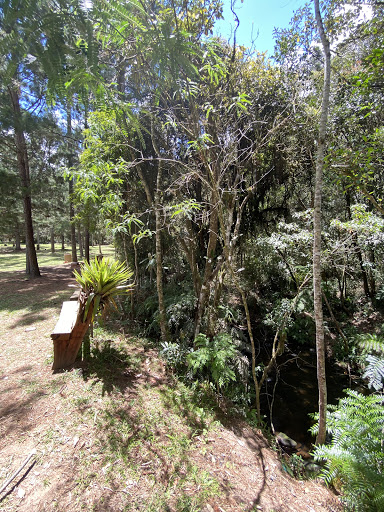 CAMPING CACHOEIRA DOS SOLAIS - Image 3
