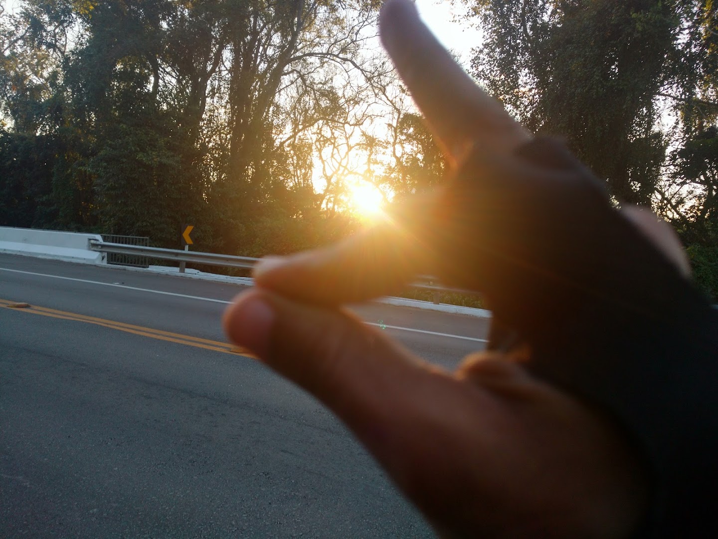 Amanda Camping - Image 3