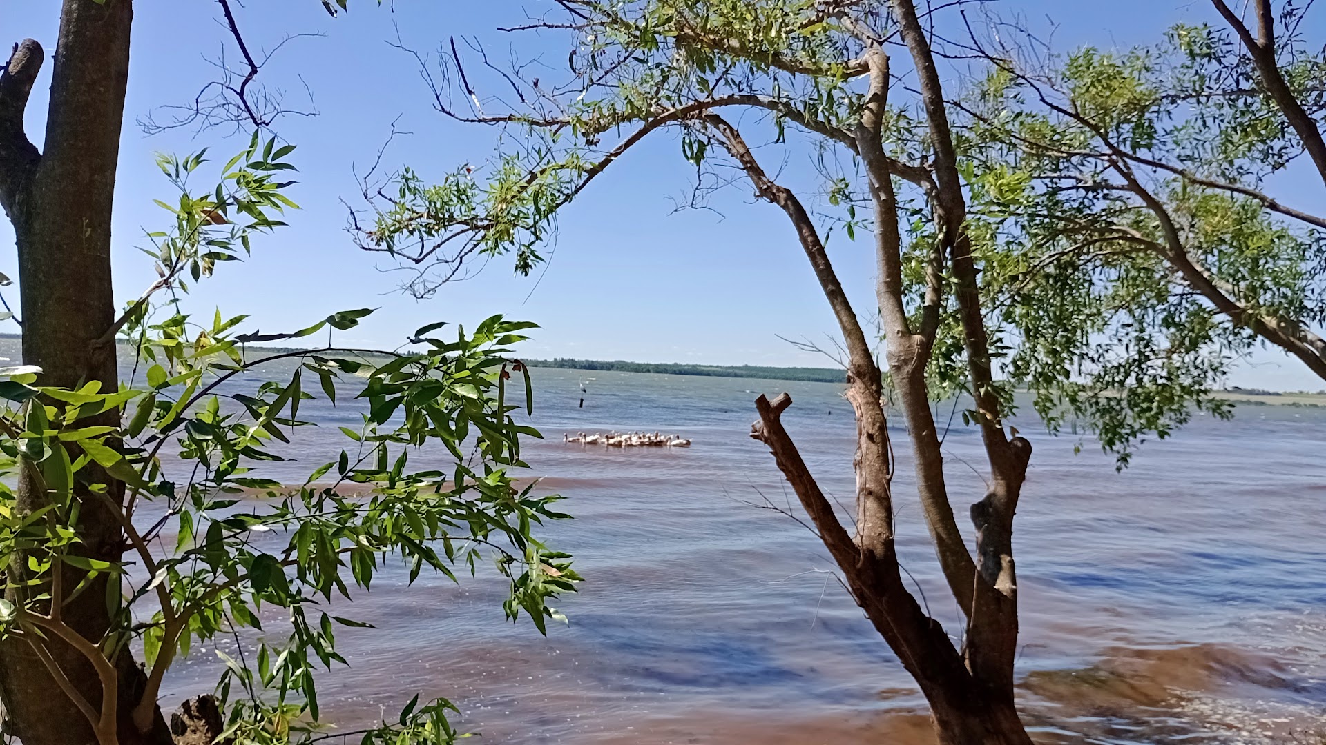 Prainha da Ema - Terra Rica/PR - Image 3
