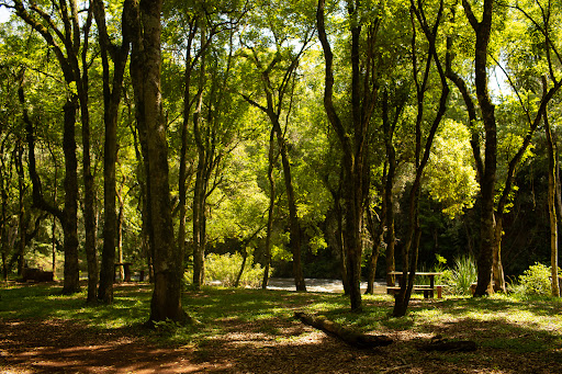 Recanto do Dario - Image 2